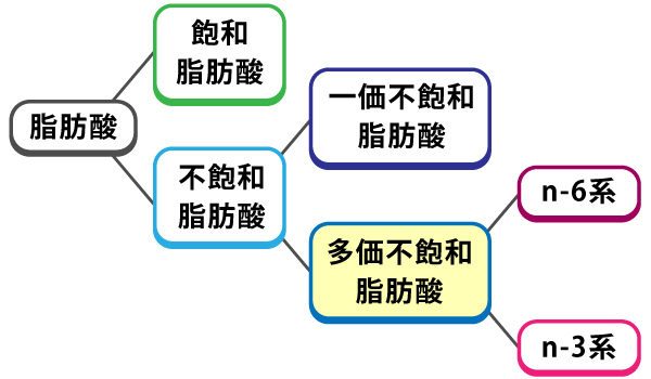 コラム