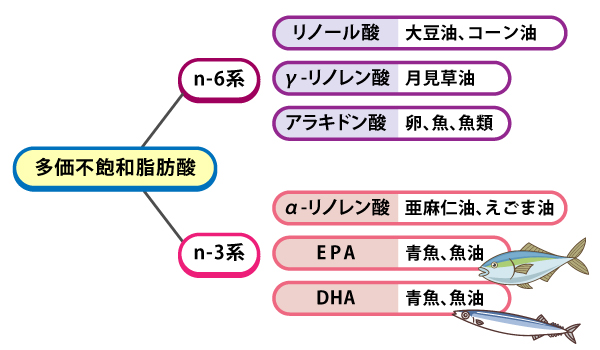 コラム