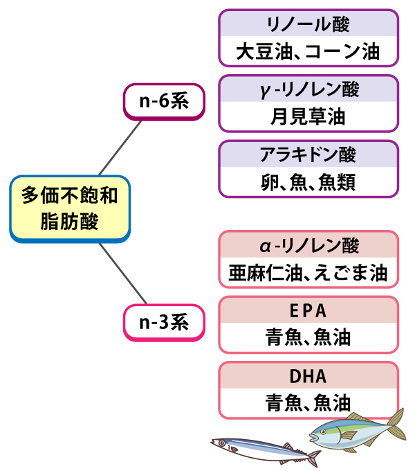 コラム