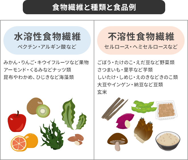 コレクション 発酵性食物繊維の多い食品 ベスト10