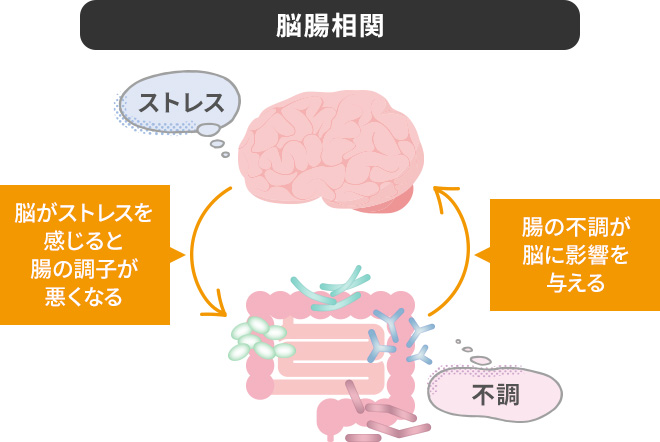 脳腸相関