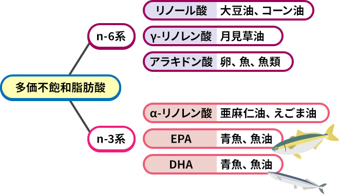 コラム